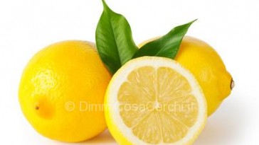 marmellata di limoni ricetta