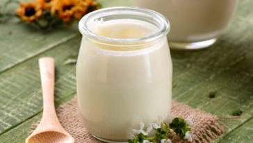 Yogurt con fermenti lattici vivi fatto in casa