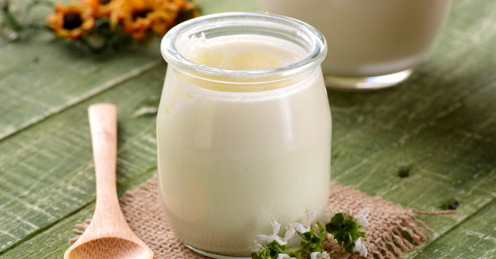 Yogurt con fermenti lattici vivi fatto in casa