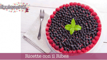 ricette ribes